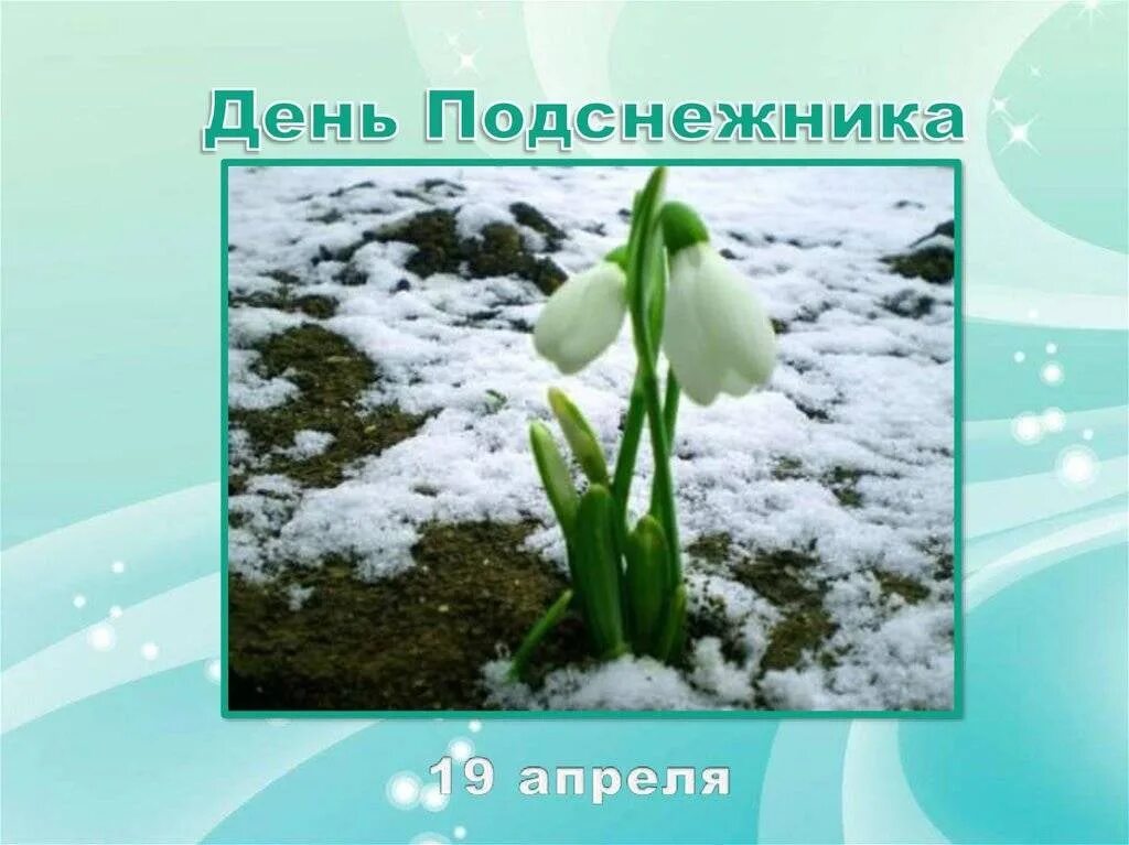 День подснежника. 19 День подснежника. 19 Апреля праздник. День подснежника 2022. 19 апреля праздник в россии