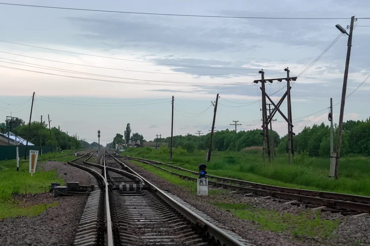 Железнодорожная станция Грибановка. ЖД вокзал Грибановка. Станция Грибановка Воронежской области. Грибановка Воронежская область вокзал.