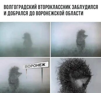 Туман смешные картинки