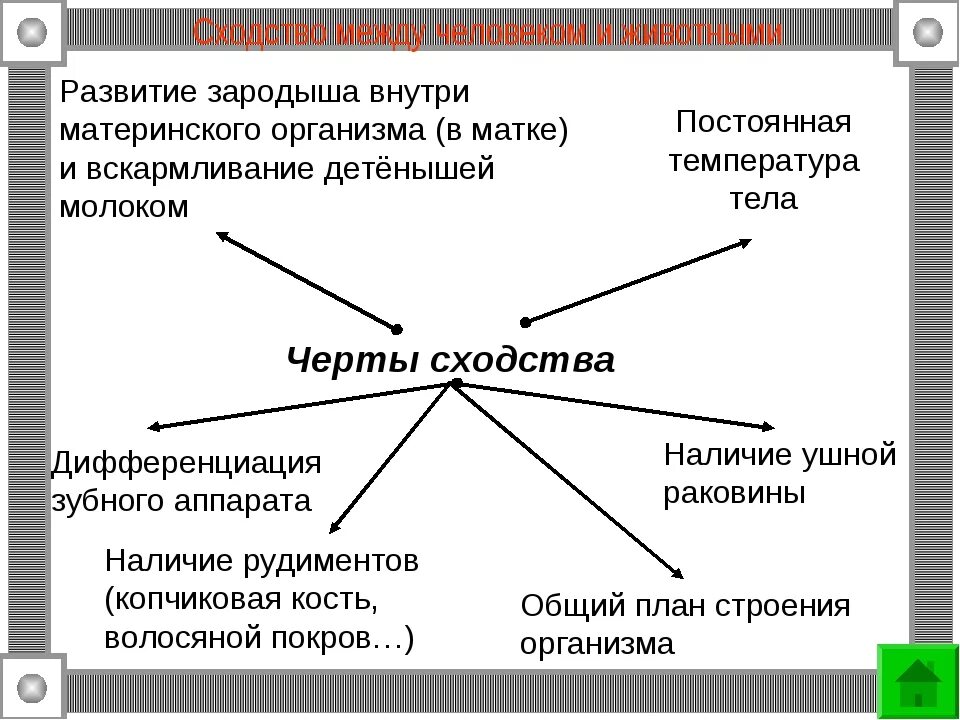 Отличие и сходства людей. Сходства и различия человека и животных. Сходства и различия между человеком и животным. Сходство человека и животного. Черты сходства человека и животного.