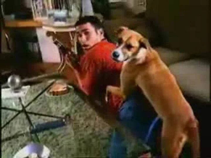Мужчина с собакой фото. Dog leon. Собака для мужчины в квартире. Мужчина с собакой фото. Мужчина разговаривает с животными.