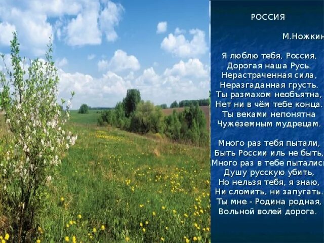 Люблю тебя Россия. Люблю тебя Россия дорогая наша Русь. Я люблю тебя Россия текст. Стихотворение люблю тебя Россия.