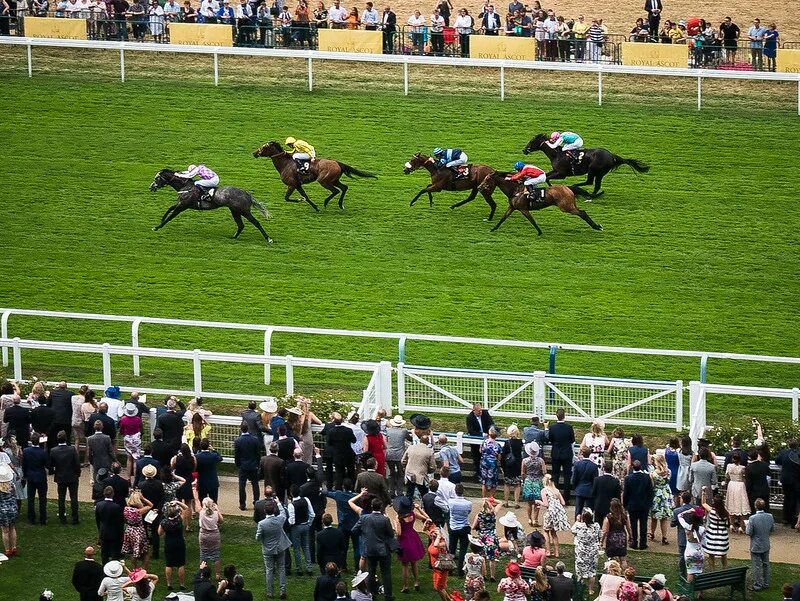 Royal ascot race horse- racing. Ипподром аскот великобритания. Ascot horse race. Скачки на лошадях. Ascot horse race.