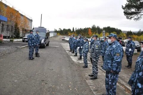 Фку мурманская область