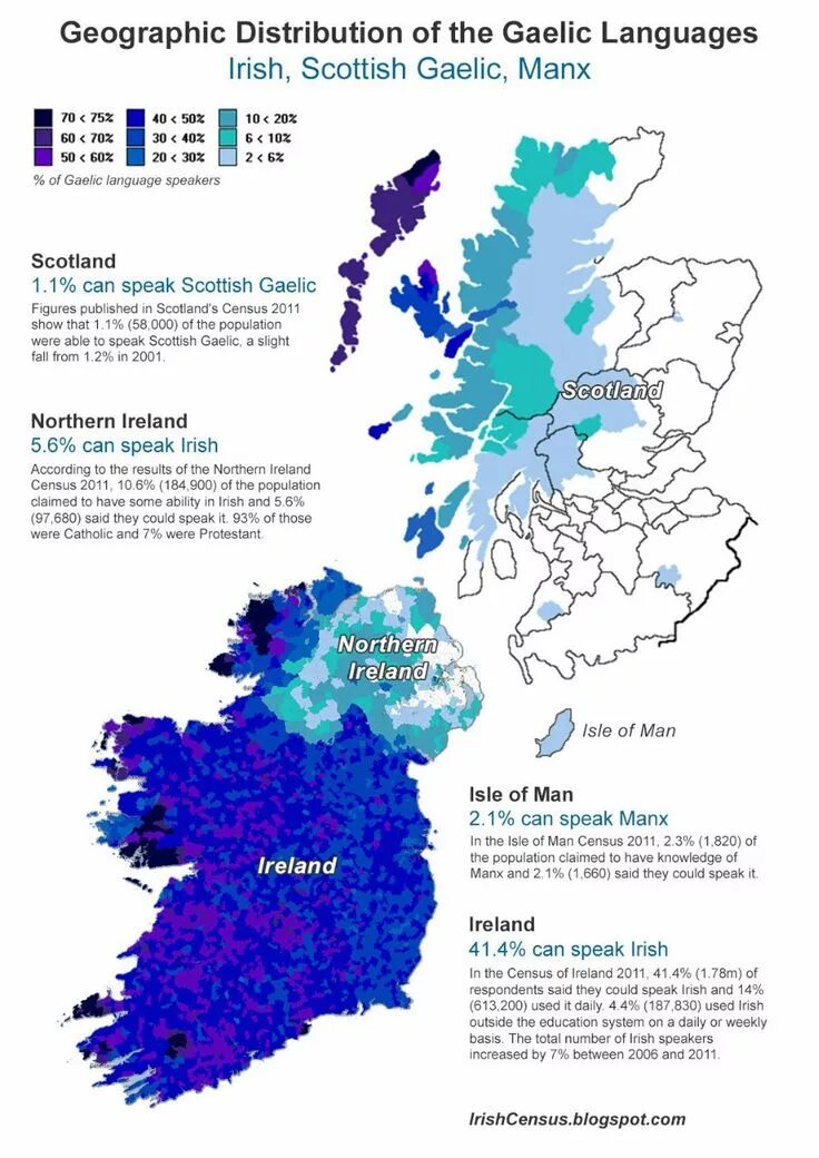 Why is irish language significant to patrick