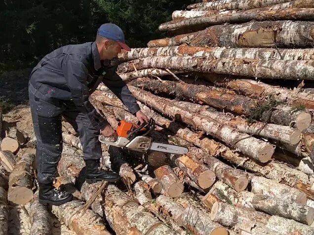 Сучкорез карвер. Распил дров. Пилим 1. Stihl ms 172 упор. Пилим 1.