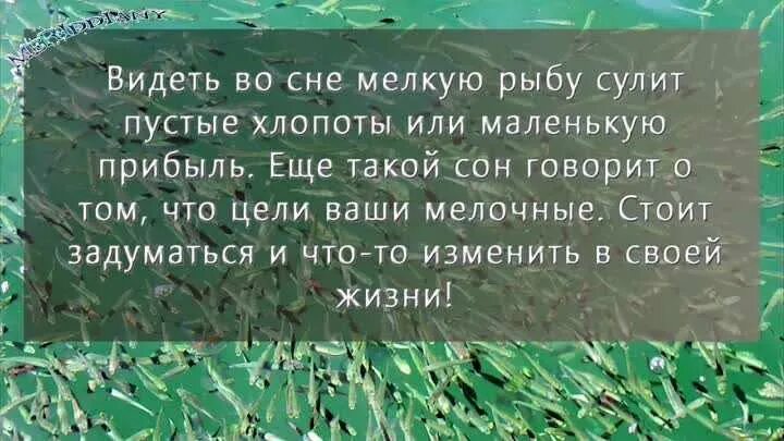 Видеть во сне рыбу. Если во сне сниться рыба. Видеть во сне много живой рыбы к чему. Что означает увидеть во сне рыбу. Сон что означает видеть вода