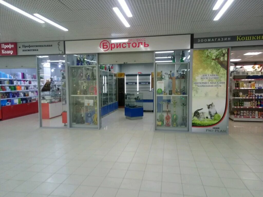 Нижний express. Бристоль тц. Бристоль экспресс. Нижний express. Нижний express.