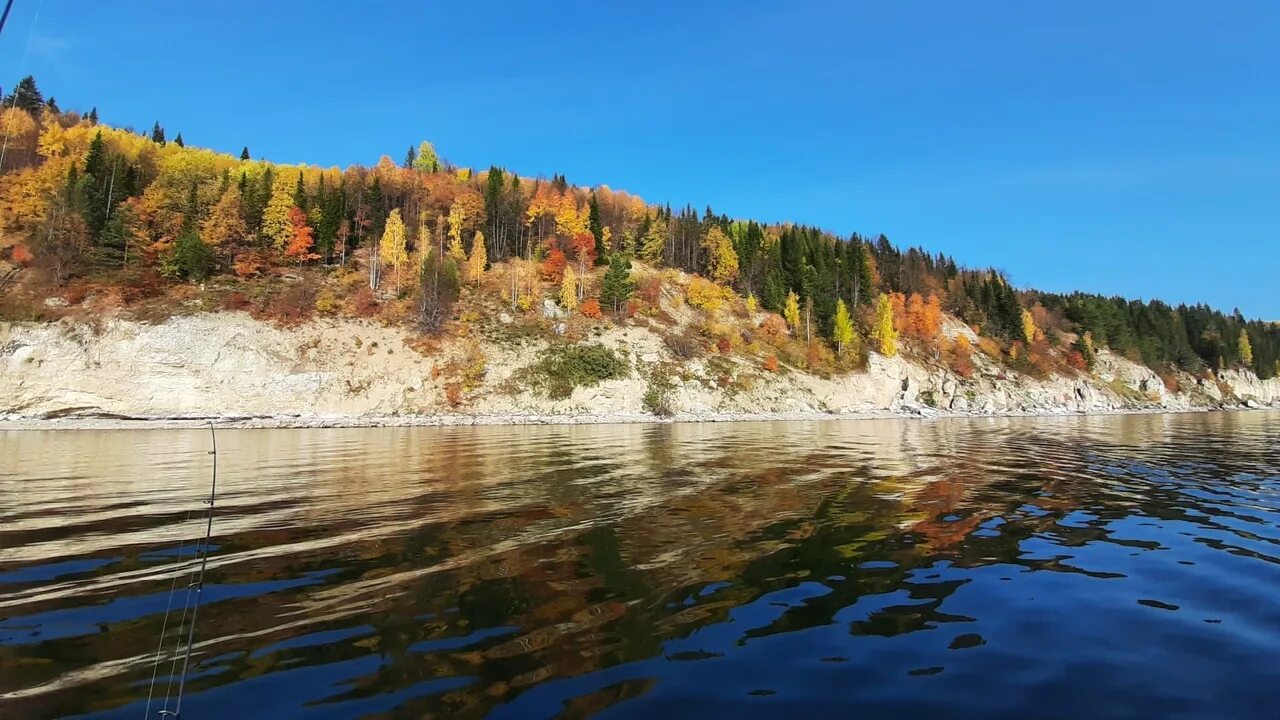 Кедры на сылве пермь