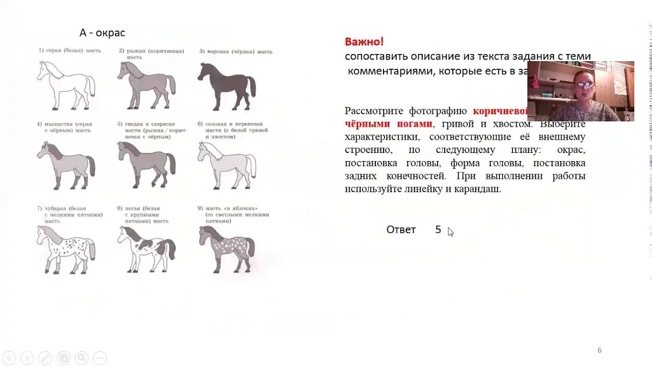 ОГЭ по биологии 2022 задания. ОГЭ по биологии лошадь 24 задание. 13 Задание ОГЭ биология лошадь. ОГЭ по биологии задание с лошадью.