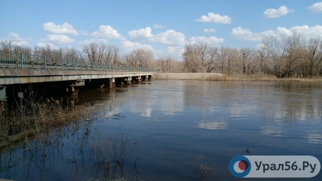 Уровень воды в урале 10. Урал речка Орск. Река Урал урал56. Река Урал Орск. Реке Урал Орск 2022.