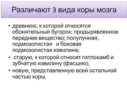 Вещество передний