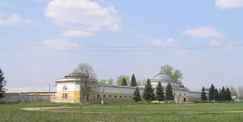 Село хреновое бобровского. Хреновской конный завод Бобровский район. Хреновое Бобровский район конезавод. Хреновое Воронежская область конезавод. Конный завод в Хреновом Воронежской области.