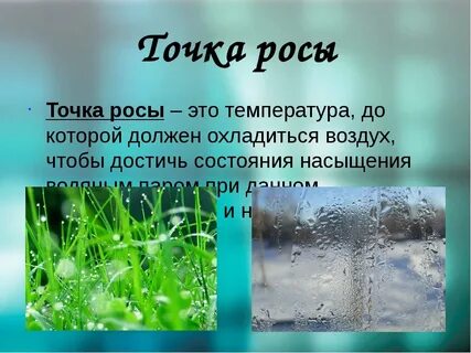 Какова роль росы в жизни растений физика