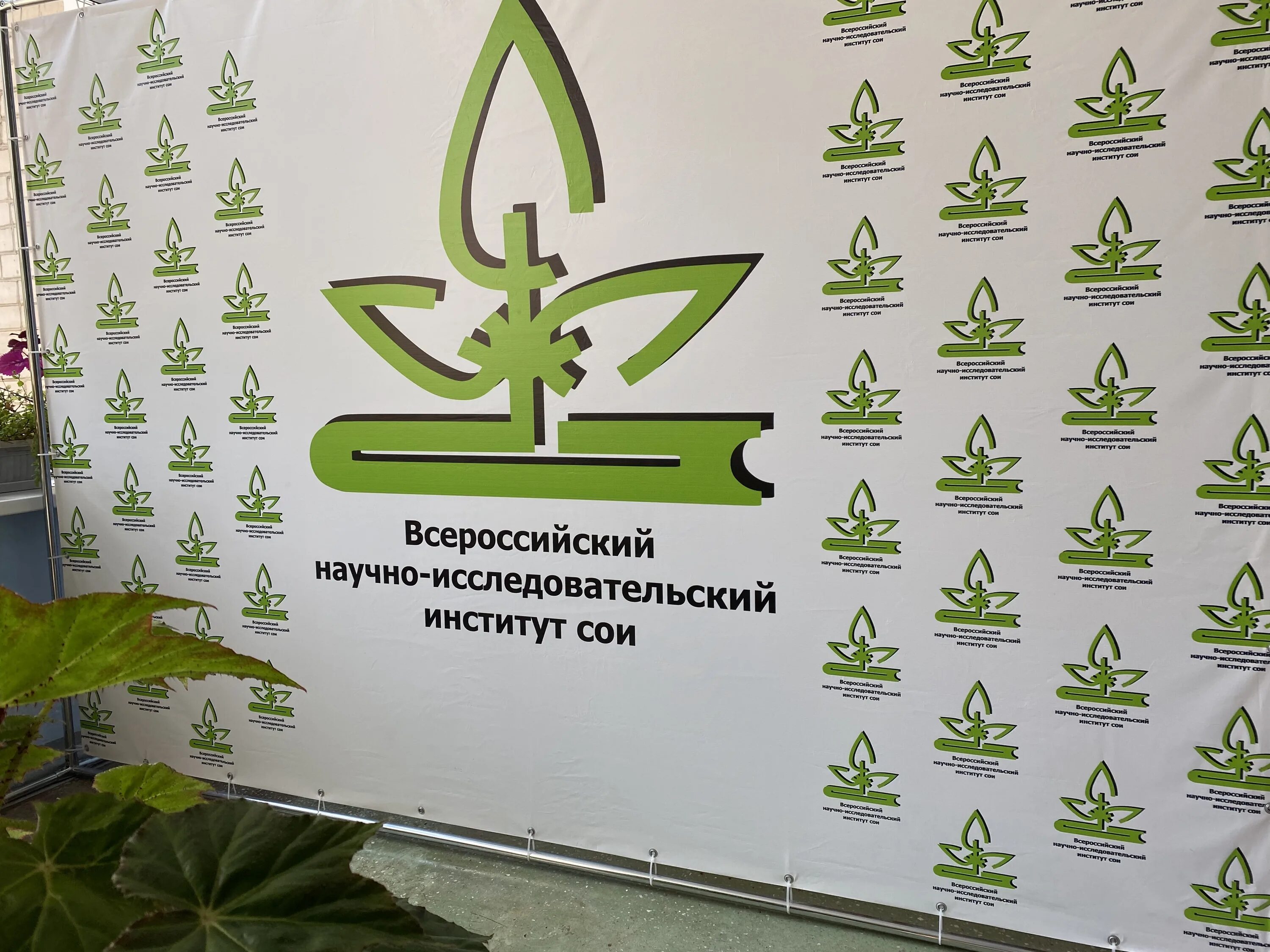 Институт сои благовещенск. Никульчев константин анатольевич нии сои. Институт сои. Охлопков михаил лугинов. Директор ркл республики алтай.