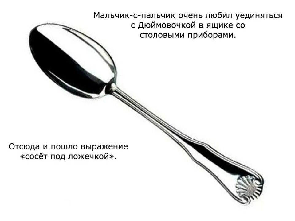 болит под ложечкой. боль под ложечкой это где. где у человека ложечка. где у человека ложечка. эпигастрий (подложечная область).