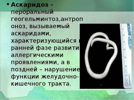 Санпин аскаридоз