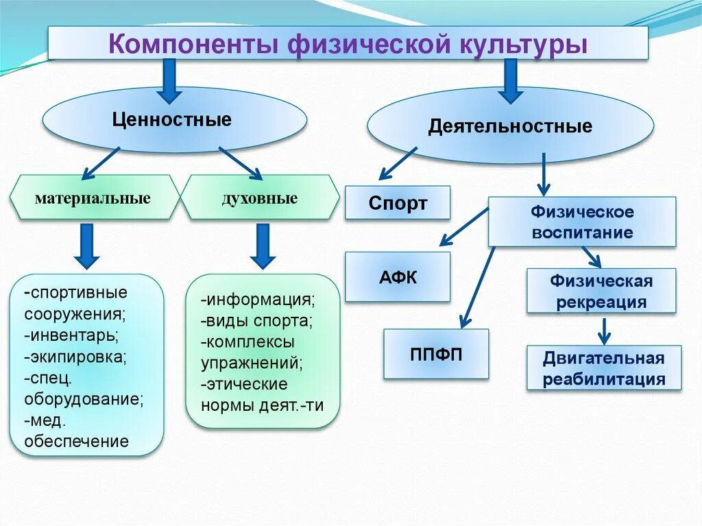 Включает в себя несколько направлений. Назовите компоненты физической культуры. Составляющие физической культуры. Основные компоненты физического воспитания. Структурные элементы физической культуры.