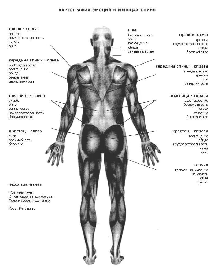 Тело говорит о болезни. Болезни правой стороны тела психосоматика. Психосоматика болезней карта тела. Эмоции и болезни психосоматика таблица. Психосоматика карта тела человека.