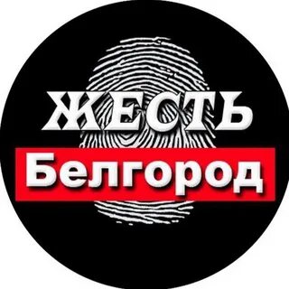 Белгород тг
