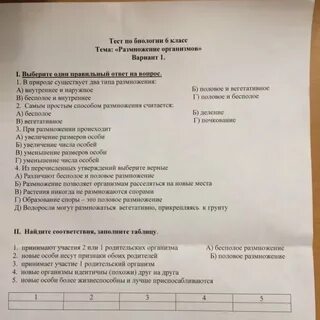 Тест биология 6 класс растения живой организм