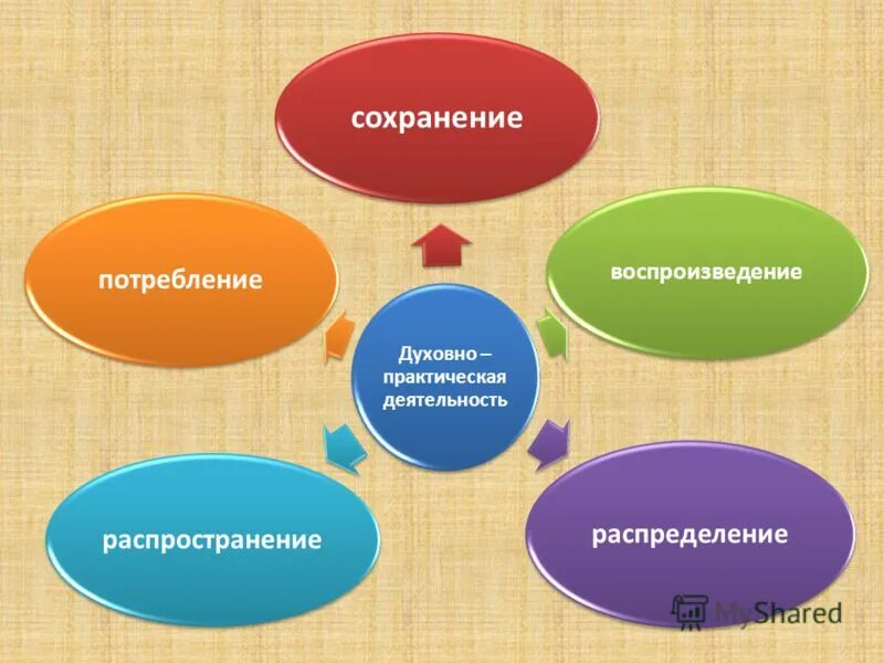 Практические работы человек и мир