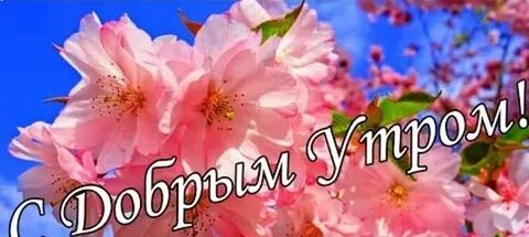 Утро 9 апреля