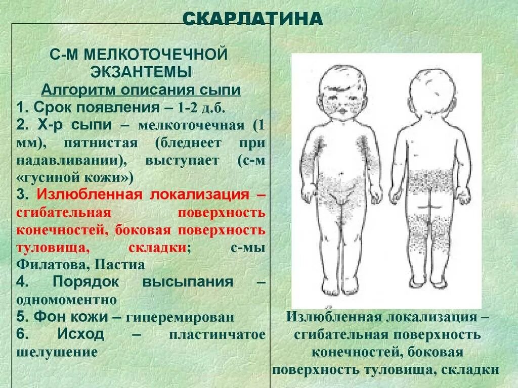 Высыпания при скорлатины. Типичная локализация сыпи при скарлатине. Краснуха коклюш