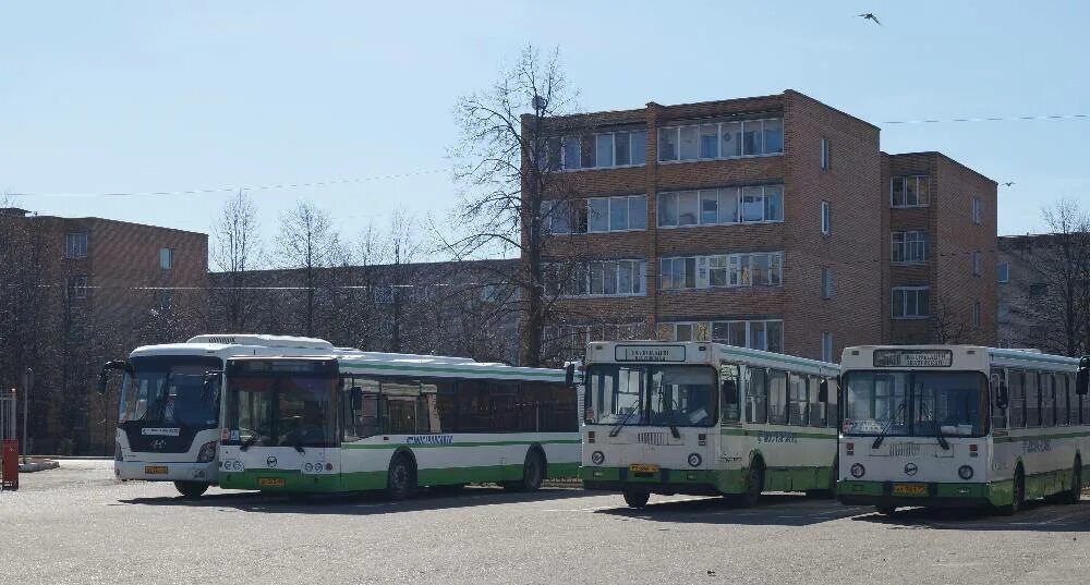 от волоколамска до клина. автобус 28 лотошино. автобус 28 лотошино. лиаз 5256. автостанция лотошино.