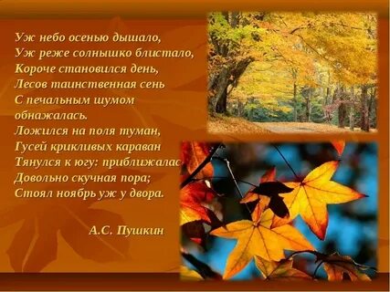 Стих наступила осень стали дни короче