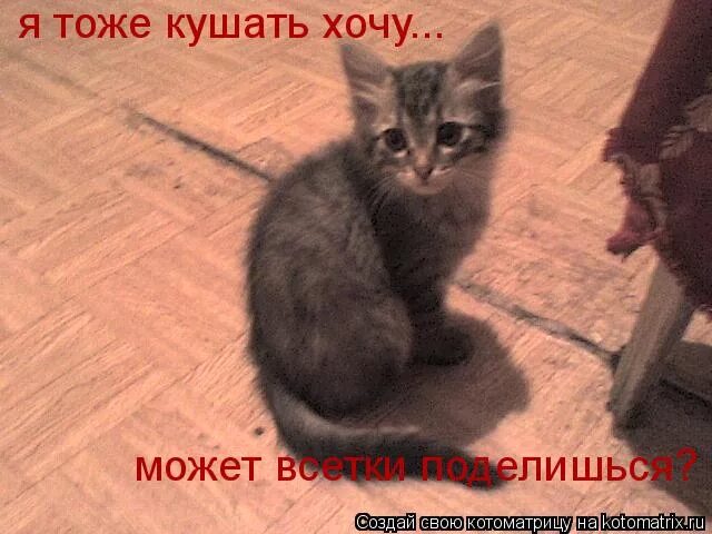 я тоже хочу включить. я тоже хочу включить. колокольня счастья балабанов. я тоже хочу. тоже хочу картинки.