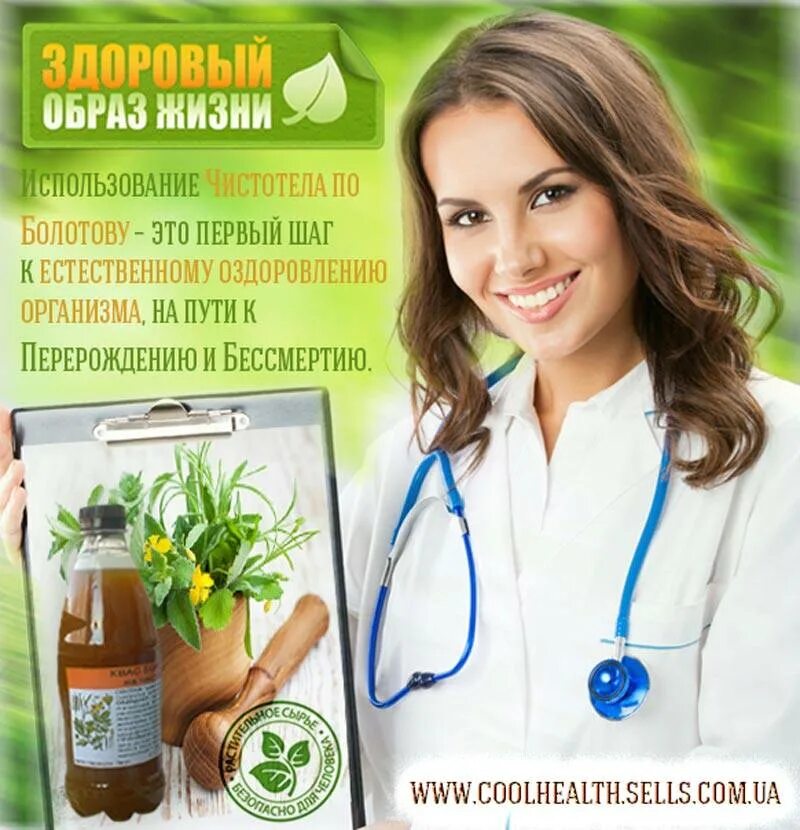 Квас болотова рецепт. Квас бориса болотова на чистотеле. Фермент чистотела болотова. Квас болотова на чистотеле рецепт. Квас болотова на чистотеле отзывы.