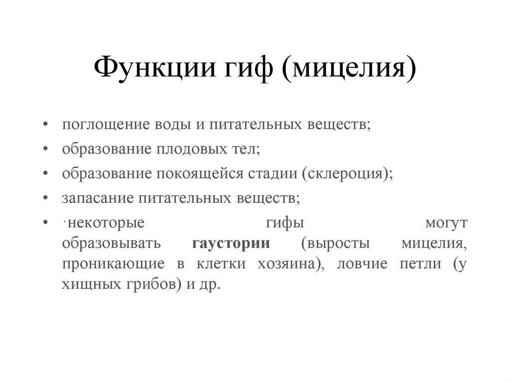 Какую функцию выполняет предмет. Мицелий функции. Функции гиф гриба. Функции гифов мицелия. Функции мицелия гриба.