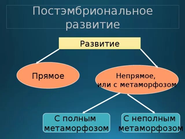 Типы постэмбрионального развития. Постэмбриональное развитие прямое и Непрямое. Прямое постэмбриональное развитие. Послезародышевое развитие прямое и Непрямое.