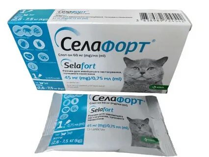 Села форт для кошек