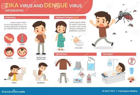 Dengue virus