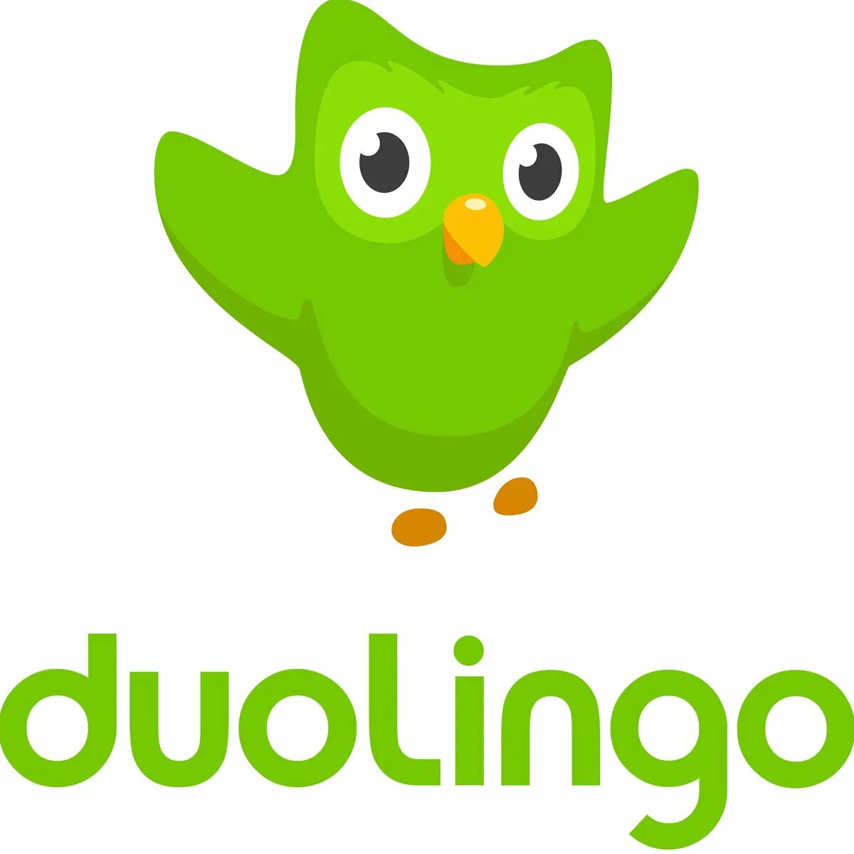 Дуолинго. Duolingo английский. Дуолинго логотип. Совенок Дуолинго. Зеленая сова английский