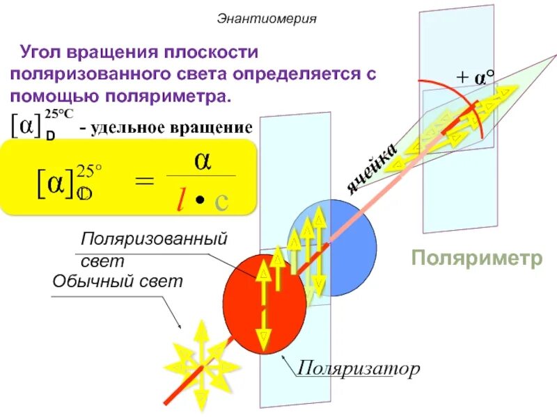 Угол вращения плоскости поляризованного света. Вращение плоскости поляризации. Угол вращения плоскости поляризации света. Угол вращения плоскости поляризации. Вращение угла поляризации