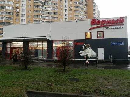 Дмитриевского 11