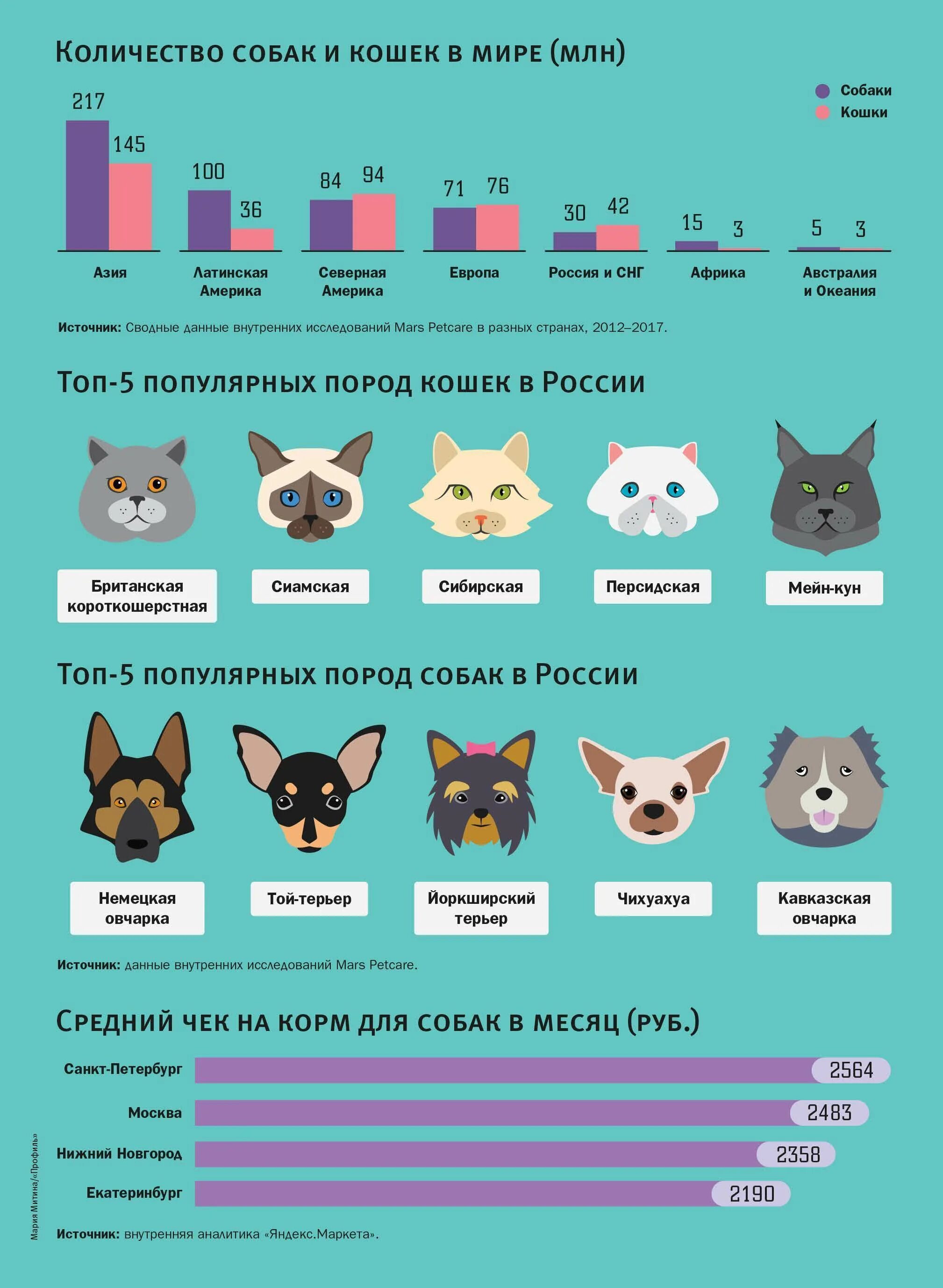 Ranking cat. Самые популярные породы кошек. Самые популярные породы кошек список. Статистика домашних животных в России. Самые распространённые домашние животные.