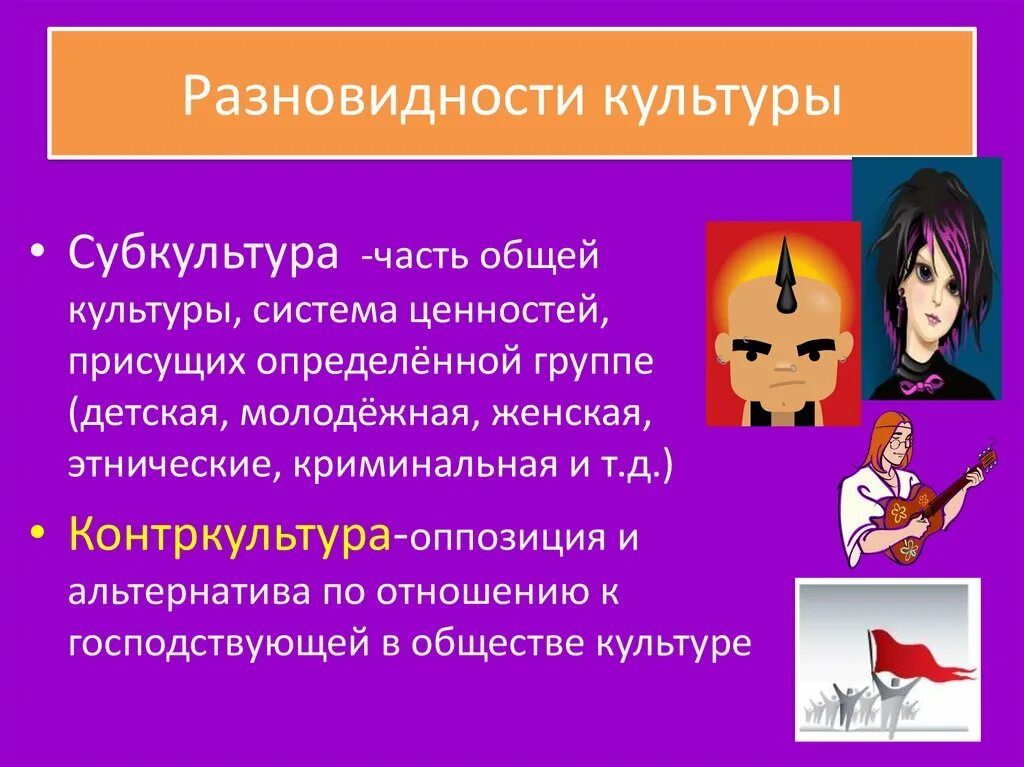 Система субкультур. Разновидности культуры субкультура.