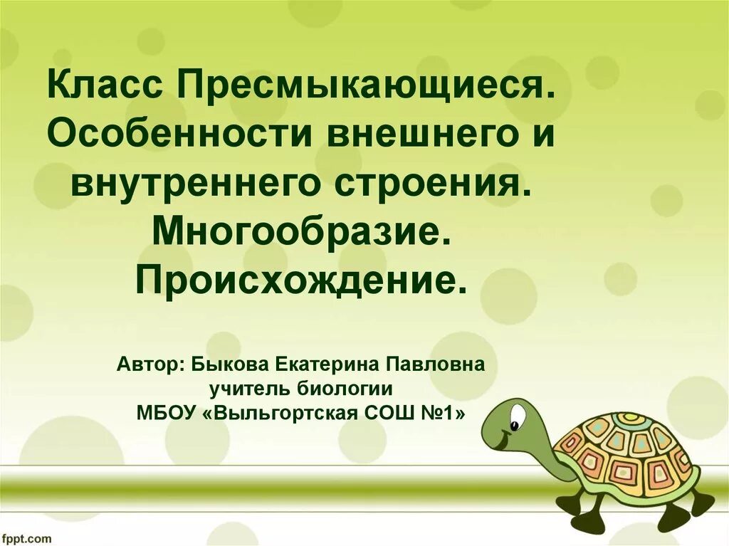 Особенности класса рептилии. Пресмыкающиеся особенности. Особенности рептилий. Пресмыкающиеся характеристика. Общая характеристика класса пресмыкающихся.