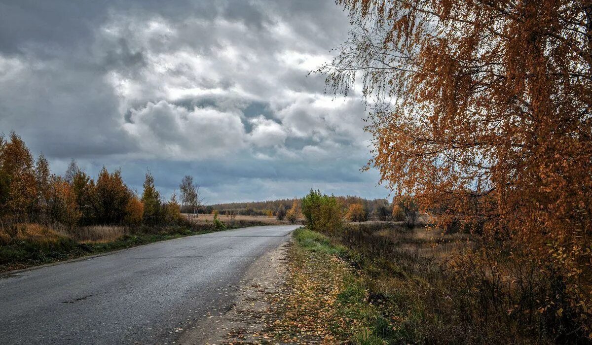 Дорога на субботу. Пасмурная осень. Хмурая осень. Пасмурный пейзаж. Поздняя хмурая осень.