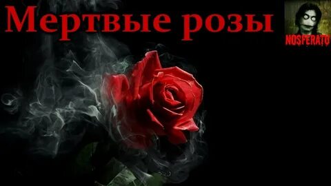 Проклятье мертвых роз