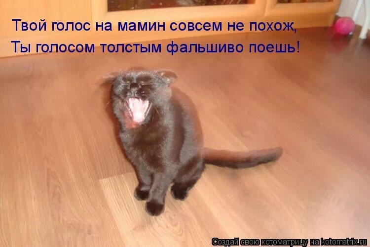 Если ваша вечеринка не похожа на эту. Что то твой голос на мамин совсем не похож. Ты совсем картинка. Кот ждет встречи. Сон в садике.