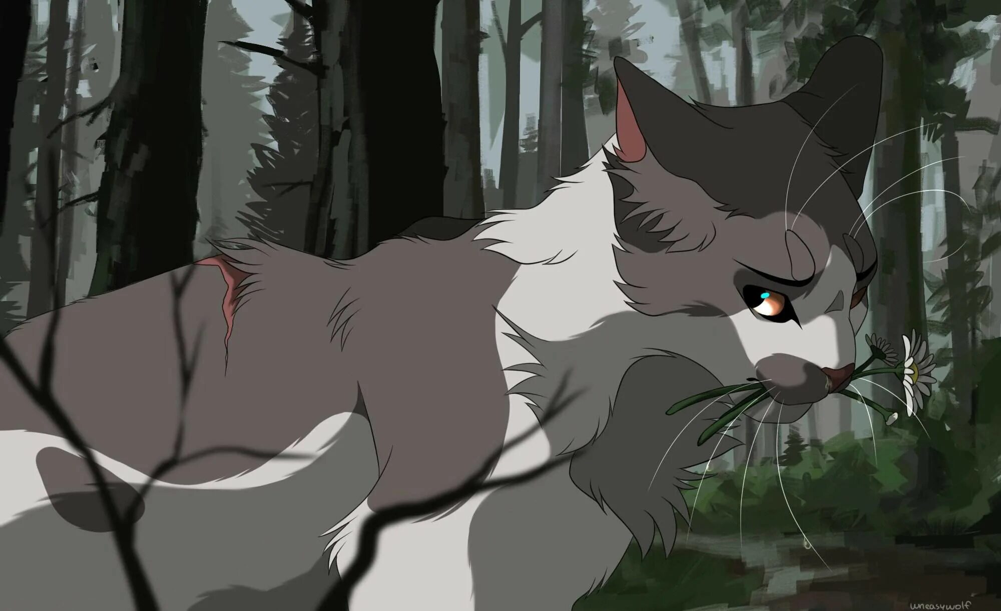 коты воители пестролистая и ветерок. коты воители мокроус. Cinderpelt коты воители. коты воители серокрыл. коты воители.