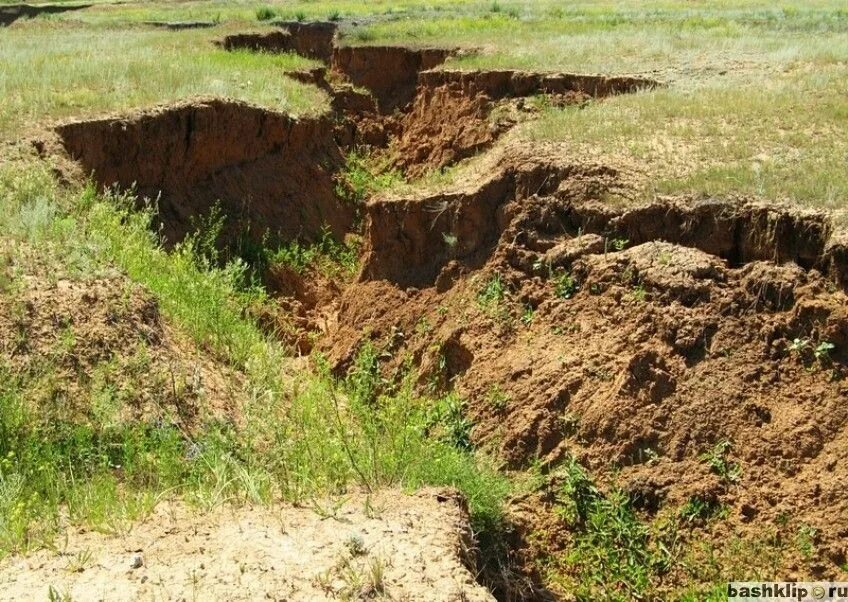 На бумаге да забыли про овраги. Овражно-балочная эрозия. Сивиньские овраги Мордовия. Овражная эрозия. Углубление в земле.