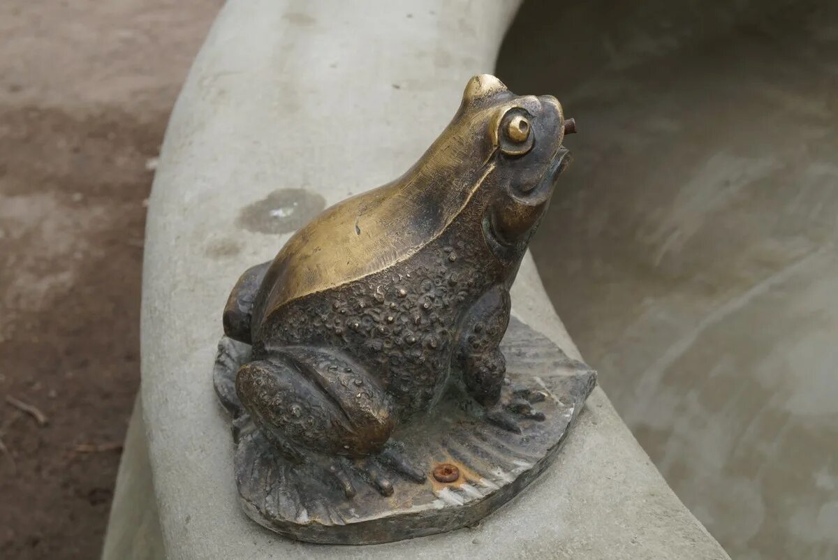 фонтан с лягушками в спб. жаба питер памятник. жаба спб. памятник лягушке. сквер 300 летия ораниенбаума.