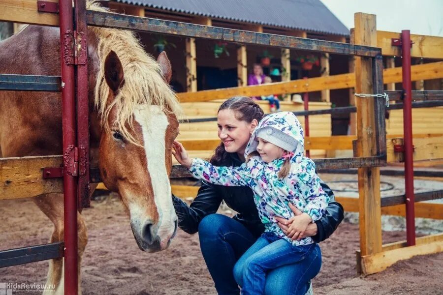 Оленья ферма ранчо авенсис. Контактный зоопарк гатчина. Контактный зоопарк гатчина. Шадырицы приют белоснежки. Контактный зоопарк гатчина.