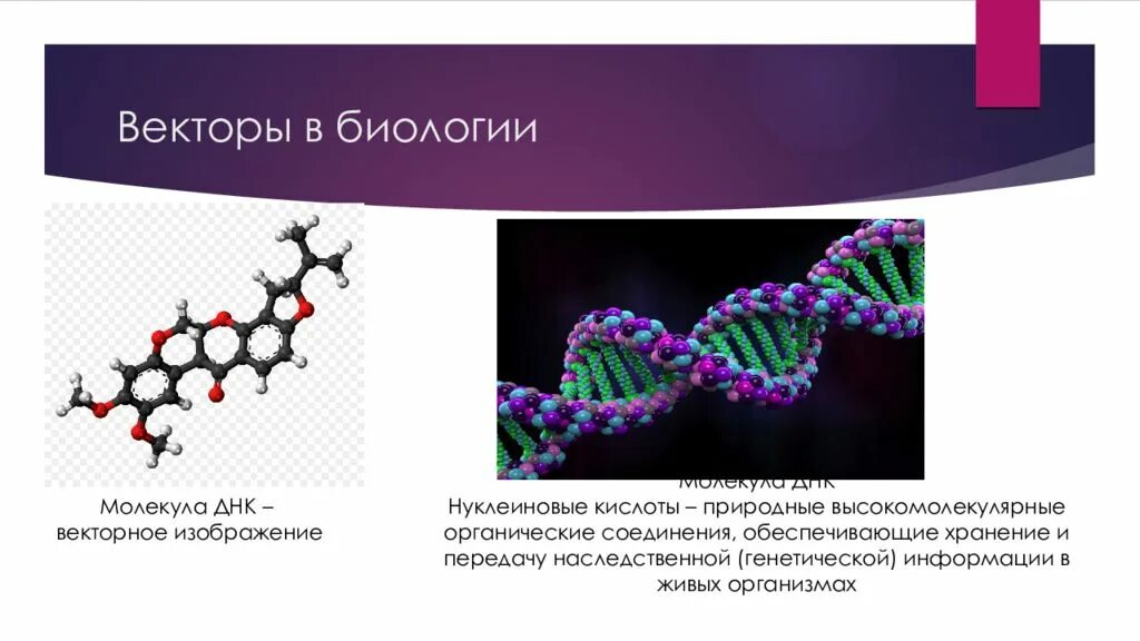 Вектор в биологии. Вектор в биологии. Основы молекулярной биологии. Биология значок. Биология вектор.